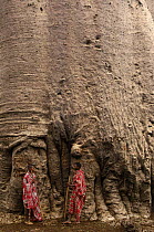 Mahafaly people beside giant trunk of Baobab tree (Adansonia za) Near Ampanihy, south-west coast of MADAGASCAR.    2005