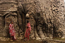 Mahafaly people beside giant trunk of Baobab tree (Adansonia za) Near Ampanihy, south-west coast of MADAGASCAR.  2005