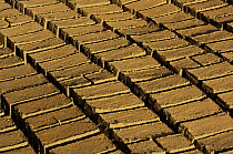 Wet bricks  laid out in sun to dry. Antananarivo city, MADAGASCAR