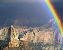 View of Mt Hayden from Point Imperial, North Rim, Grand Canyon NP, Arizona, USA in afternoon light with rainbow and storm clouds