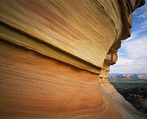 Petrified sand dunes with eroded sandstone bands, Paria Canyon-Vermilion Cliffs Wilderness, Arizona, USA
