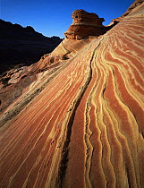 Petrified sand dunes with eroded yellow and red sandstone bands, Paria Canyon-Vermilion Cliffs Wilderness, Arizona, USA