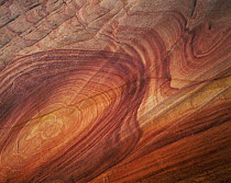 Petrified sand dunes with eroded sandstone bands in swirl patterns from mineral deposits, Paria Canyon-Vermilion Cliffs Wilderness, Arizona, USA