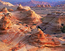 Petrified sand dunes with eroded sandstone at sunset, Paria Canyon-Vermilion Cliffs Wilderness, Arizona, USA