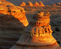 Petrified sand dunes with eroded sandstone striations at sunset, Paria Canyon-Vermilion Cliffs Wilderness, Arizona, USA