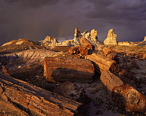 Petrified logs and eroded clay formations, Blue Mesa, Petrified Forest NP, Arizona, USA at sunset with storm clouds behind