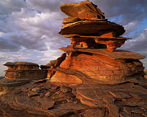 Petrified sand dunes with eroded sandstone flakes at sunset, Paria Canyon-Vermilion Cliffs Wilderness, Arizona, USA