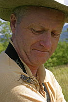 Wart Biter (Decticus verrucivorus) on shoulder of man, Hungry