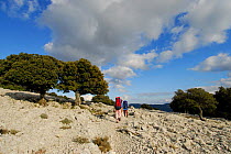 Hikers with backpacks walking through rocky landscape, Sardinia, Italy