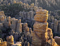 Rock spires in last rays of sunset, Echo Canyon, Chiricahua National Monument, Arizona, USA