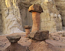 Cockscomb, cap rock hoodoos of Carmel sandstone, Grand Staircase - Escalante National Monument, Utah, USA