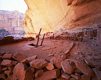 'Perfect Kiva' ruins of Anasazi indians, Bullet Canyon, Grand Gulch Primitive Area, Utah, USA