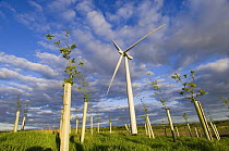 2.3 megawatt wind turbine with hardwood tree saplings, Scotland UK. May 2006 (This image may be licensed either as rights managed or royalty free.)