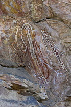 Rock art depicting human figures, Nanguluwur, Nourlangie, Kakadu National Park, Northern Territory, Australia