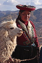 Indian woman wearing traditional dress and llama (Lama glama), Cusco, Peru 2006.