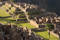 Inca ruins, Machu Picchu, Peru, 2006