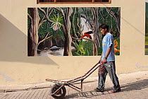 Indian man pushing wheelbarrow along the street, with mural art showing rainforest scene, Aguas Calientes, Peru, 2006