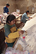 Indian man and woman packaging salt, Salt mines of Maras, Peru 2006.