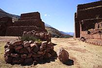 Ruins and stone walls in Archaeological Park of Rumi Colca, Peru 2006.