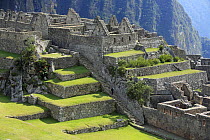 Inca ruins, Machu Picchu, Peru 2006.