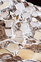 Aerial view of salt mines, Maras, Peru 2006.