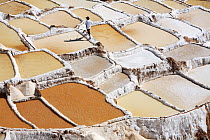 Man walking along wall in salt mines, Maras, Peru 2006.