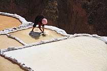 Indian woman working on salt pool, Maras, Peru 2006.