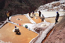 Indian men and woman working at the salt pools, Maras, Peru 2006.