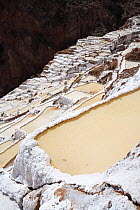 Salt mines, Maras, Peru 2006.