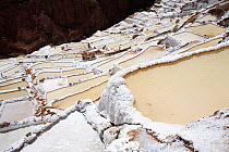 Salt mine terraces, Maras, Peru 2006.