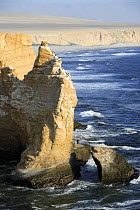 Stacks on the Pacific coast, Paracas National Reserve, Peru