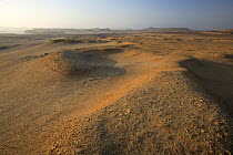 Coastal desert landscape, Paracas National Reserve, Peru