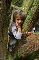 Child sitting in tree, Belgium