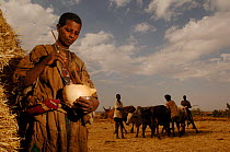 Amara woman preparing traditional product to protect against flies, North Ethiopia, 2006