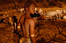 Young Benna woman looking after cattle and showing the scars on her back, these are inflicted on teenage girls by their brothers and are considered a mark of beauty and bravery, the girls provoke thei...
