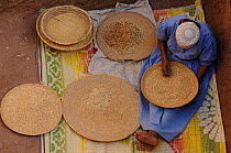 Woman removing bad seeds from harvest before grinding for flour, Lalibela, North Ethiopia, 2006