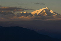 Peak of Gorrichen mountain seen from Bomdila, Himalayas, India