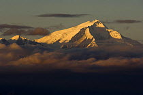 Peak of Gorrichen mountain seen from Bomdila, Himalayas, India  2005