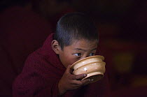 Young buddhist monk drinking, Galdan Namge Lhatse monastery / Golden Age Lhatse monastery, Tawang, Arunachal Pradesh, India 2005