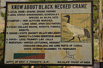 Information board on Black-necked Cranes {Grus nigricollis} Shangti Valley, Arunachal Pradesh, India. 2005