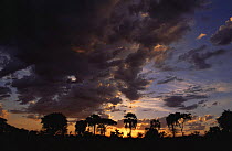 Sunset, Katavi National Park, Tanzania