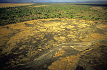 Aerial view of dried river bed, Katavi National Park, Tanzania