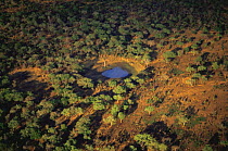 Aerial view of dried waterhole in woodland bush during dry season, Katavi National Park, Tanzania