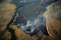 Aerial view of bush fire in woodland savanna during dry season, Katavi National Park, Tanzania