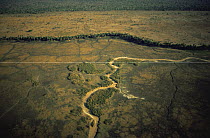 Aerial view of dried river bed during dry season, Katavi National Park, Tanzania