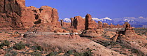 Garden of Eden with La Sal Mountains in the background, Arches National Park, Utah, USA