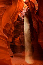 A shaft of light illuminating interior of Antelope Canyon, Utah, USA