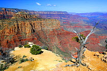 View from rim of Grand Canyon, with sedimentary layers obvious, Arizona, USA
