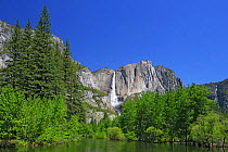 Upper Yosemite Falls and the Merced River, Yosemite National Park, California, USA