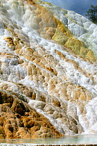 Geothermal formations, Travertine terraces, Mammoth Springs, Yellowstone National Park, Montana, USA